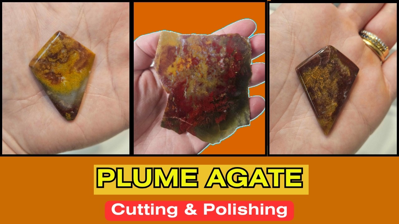 Bland Plume Agate Slab polishes Super Shiny