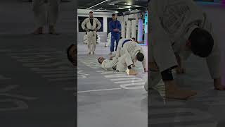 Preparation Meets Opportunity in BJJ | QW Team Prep For Submission Kings
