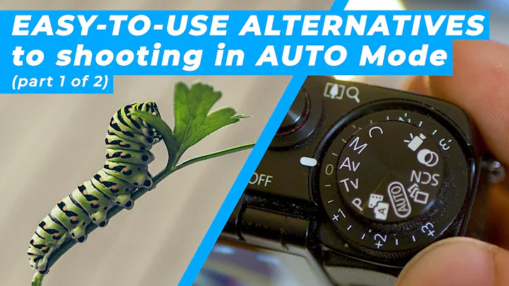 Photography 101: Aperture Priority Mode