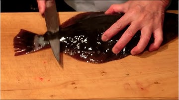 Cách người Nhật chế biến cá Bơn làm món sashimi cá Bơn ăn kèm mù tạt