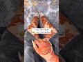 العيلات هاد ليمات عندهم معماملة ديال ايران
