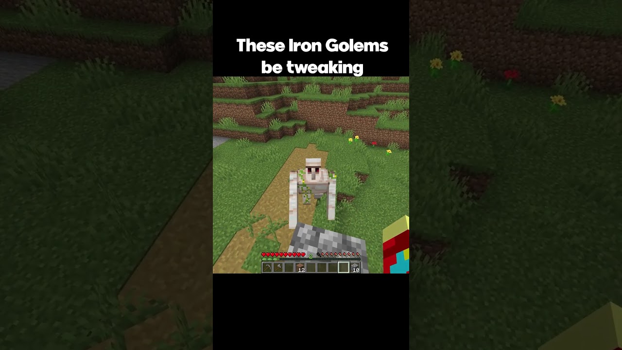 Minecraft Iron Golem Moment