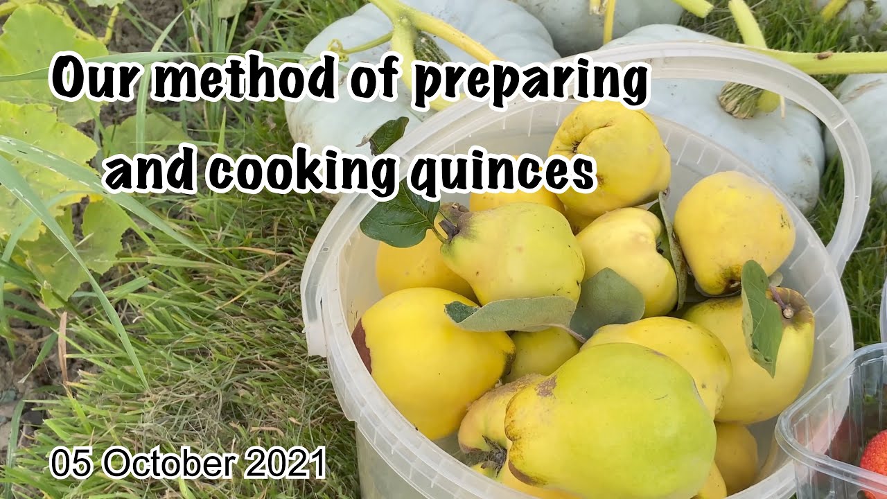 Our method of preparing and cooking quinces YouTube