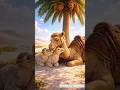 "Camel’s Care"#trending #shorts #viral