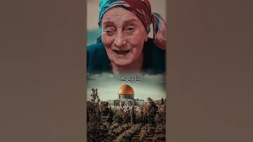 شدو بعضكم يا اهل فلسطين امراء كبيره بسن فلسطين غزة ضحك تعاون شدو بعضكم لايك الحرب 