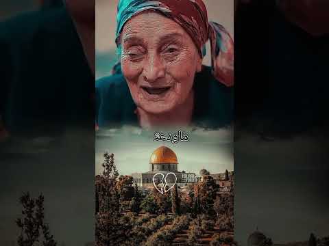 شدو بعضكم يا اهل فلسطين امراء كبيره بسن فلسطين غزة ضحك تعاون شدو بعضكم لايك الحرب 