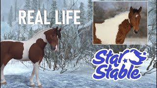 [SSO] I miei cavalli nella vita reale