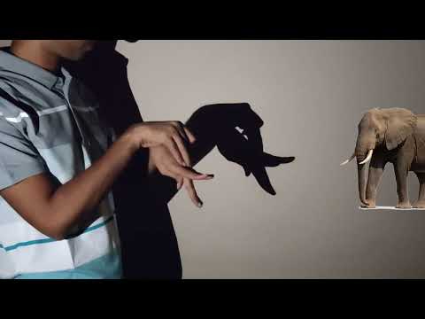 How to Make an Elephant Shadow Tutorial