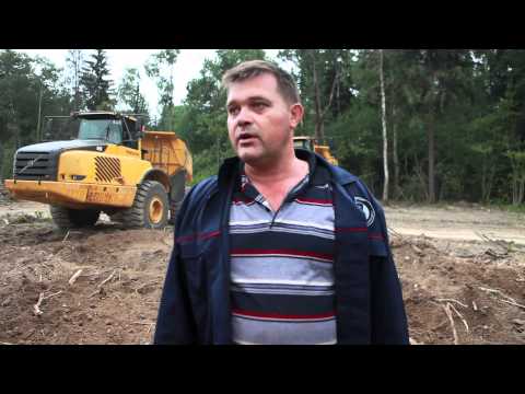 Химкинский лес. Продолжение