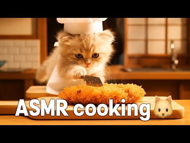 【ASMR】子猫シェフのクッキング集！🐈　
