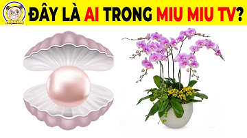 7+9 Câu Đố Đuổi Hình Bắt Chữ Về Thành Viên Miu Miu TV Và Các Idol Có Cùng Quê Với Bạn #miumiutv