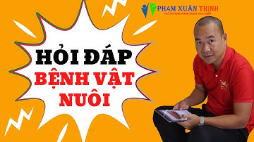 Hỏi đáp bệnh vật nuôi cùng bác sĩ thú y, nhà đào tạo Phạm Xuân Trịnh