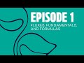 Episode 1 - Fluxes, Formulas, and Fundamentals