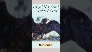 Insan Per Isa Den Be Atta Hai Jess Main Serp Sans Lina Be Bahadry Hota Haiislamicforyouviral
