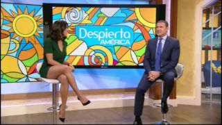Francisca Lachapel Hot Legs - Despierta America - 111416