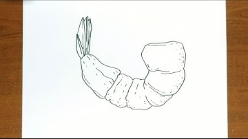 How To Draw SHRIMP Step by Step