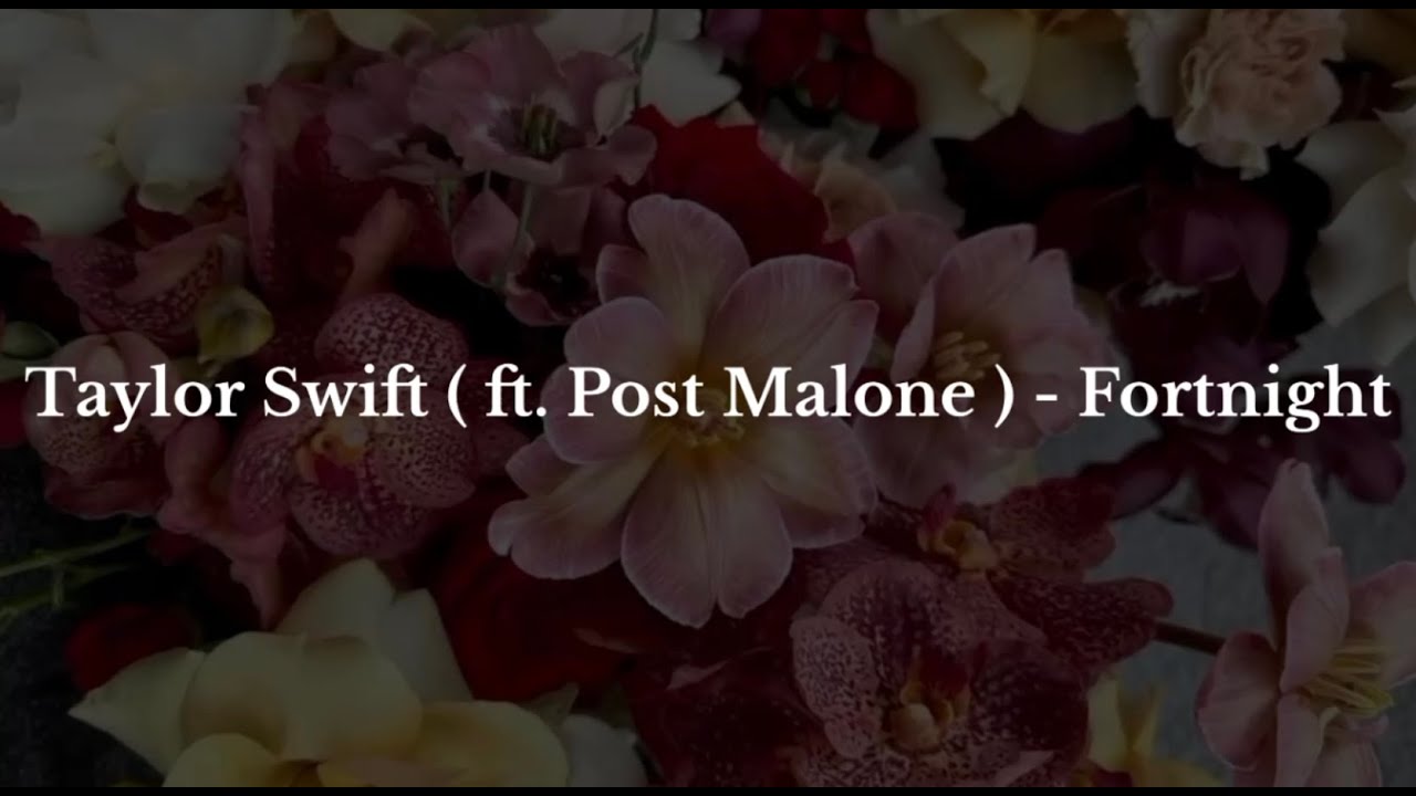 Taylor Swift ( ft. Post Malone ) - Fortnight ( aesthetic lyrics video ) ⋆˚࿔ Taylor Swift ( ft. Post Malone ) - Fortnight ( aesthetic lyrics video ) ⋆˚࿔