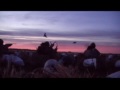 Manitoba Duck Hunting, goose hunting manitoba, Manitoba snow geese