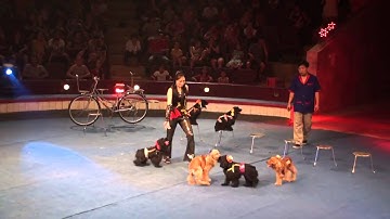 0978.68.37.68 Cho Thuê Xiếc - Xiếc Người,Xiếc Thú - Ảo Thuật - Múa Lân