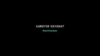 Garoyib sayohat (multfilm)