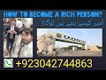 How to become a rich person  network marketing