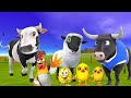 El Pollito pío 3d | El toro se congela jugando en el juegodel Toro y el Tractor 3D