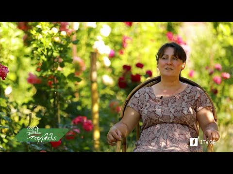 #არტიშოკი სამკაულის ფულით შექმნილი ბაღის ისტორია ველისციხეში