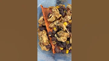 Taco Lunch Food 