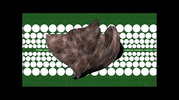 Aardbei - Eastside Works (2002) demoscene 64k intro 2160p60 retro PC