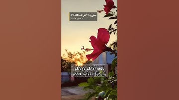 سورة الاعراف الآيه 38-39