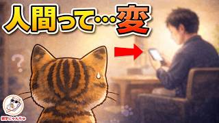 【人間の雑学】猫目線の理解不能なちょっと変でちょっと不思議な存在 #猫 #雑学 #豆知識 #トリビア 