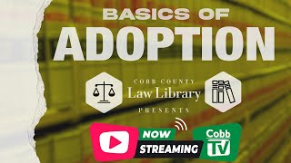 Basics of the Adoption Process - Cobb's Law Library series