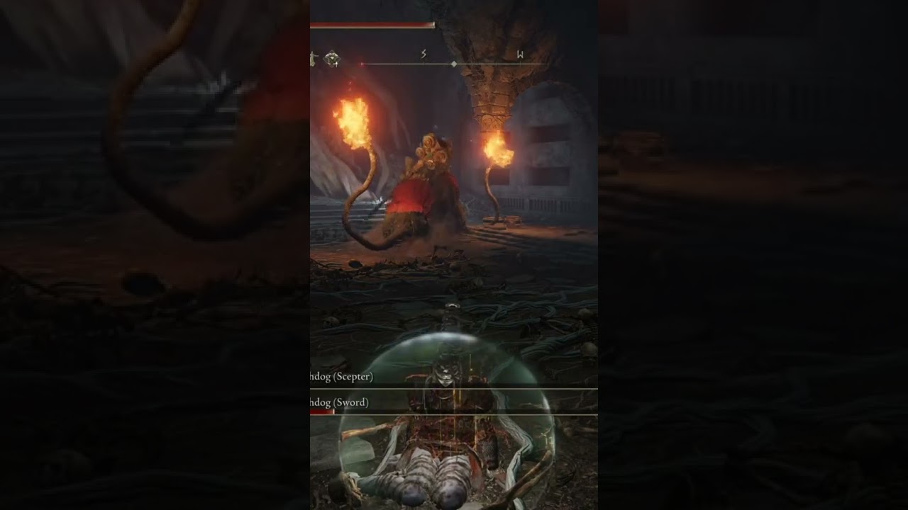 When Watchdogs Turn To Cats Elden Ring Crystal Dart YouTube