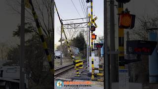 ふみきりん 踏切 電車】なにが通るかな？？？【ふみきりショート動画163】 #shorts