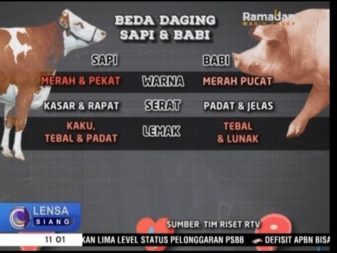 Perbedaan Tekstur Daging Sapi Dan Babi