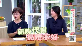 體溫力革命! 快速排寒身體暖呼呼|健康有方20171019|三立台灣台CH29