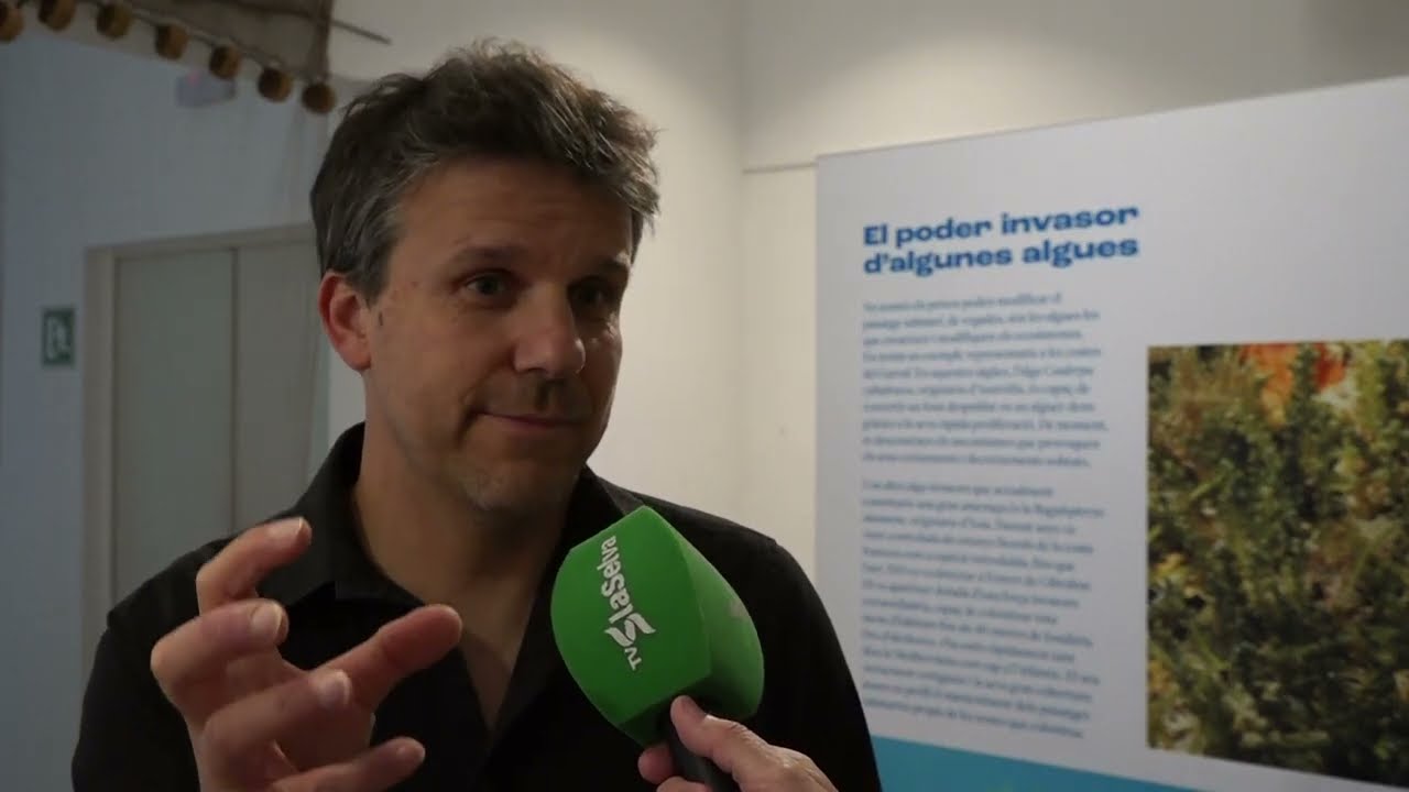Blanes acull una exposició del CEAB sobre les espècies invasores marines a la Casa Saladrigas