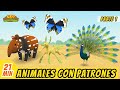 Animales con Patrones Episodio Compilación [Parte 1/2] (Español) - Leo, El Explorador - Familia