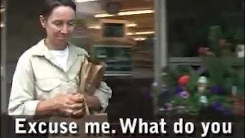 Real English®  23 Have Got = Got = Have!