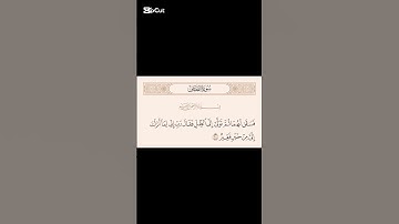 #foryou #القران_الكريم #تلاوه_خاشعه #سورة_القصص #محمود_الشحات_أنور