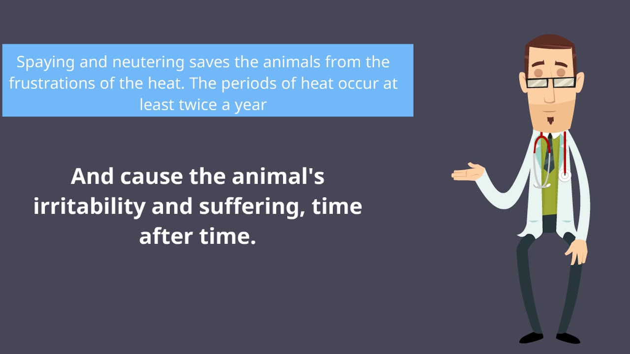 What does it mean to sterilize and neuter animals for an 24 Hour Vet