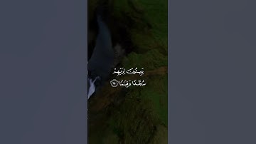ما تيسر من سورة الفرقان #راحة_نفسية #الرحمن #المصحف
