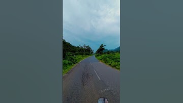#music #song #newsong #trending #shorts #shortvideo #nature #love #travel