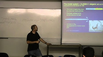 The degenerating brain: From research to hope - Ninth Lesson