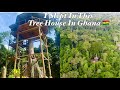 Jungle Tree House Experience in Ghana||