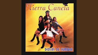 Video thumbnail of "Tierra Canela - Te Quiero Tanto Tanto"