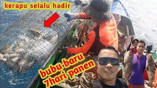 Tarik Bubu Ikan Laut. Panen Bubu Baru
