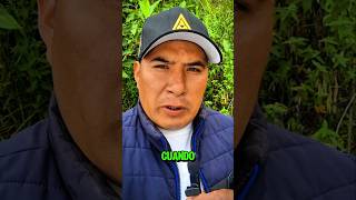 el que no se enoja no es verdad 👍 #shortvideo #shorts #frases #motivacion #reflexionesdeldia