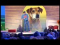 Martin Rütter: Hund-Deutsch/Deutsch-Hund