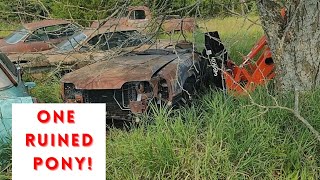 We bought the world's WORST Vintage Mustang! Plus Ford Galaxie convertible & four Corvairs!